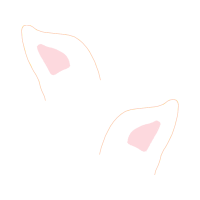 Sports Bra Hobbies Sports Bra Hobbies