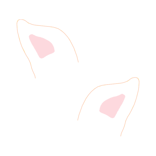 Sports Bra Hobbies Sports Bra Hobbies