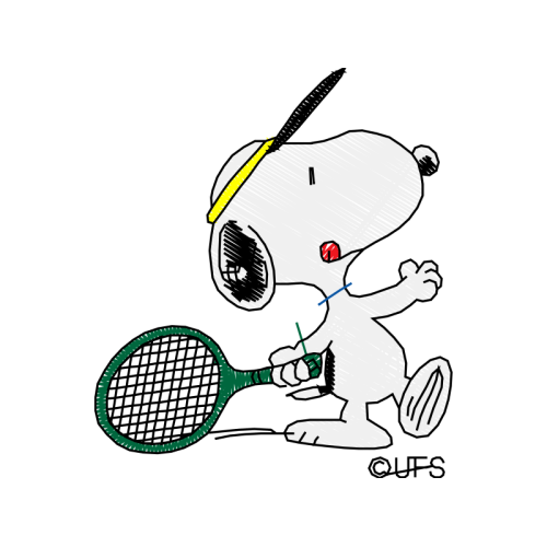 Tennis Hobbies Tennis Hobbies