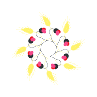 Exclusive Voyages Morocco Hobbies