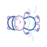 Craft Holidays Craft Holidays