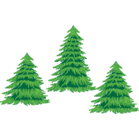 Balsam Fir Christmas Balsam Fir Christmas