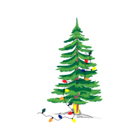 Balsam Fir Christmas Balsam Fir Christmas