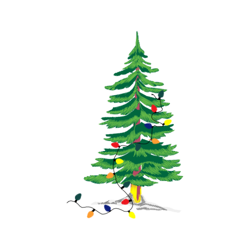 Balsam Fir Christmas Balsam Fir Christmas