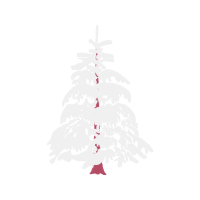 Balsam Fir Christmas Balsam Fir Christmas