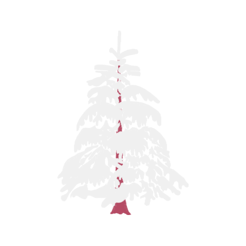 Balsam Fir Christmas Balsam Fir Christmas