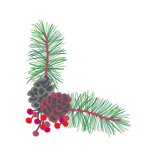 Balsam Fir Christmas Balsam Fir Christmas