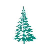 Christmas Tree Christmas