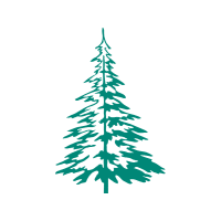 Christmas Tree Christmas