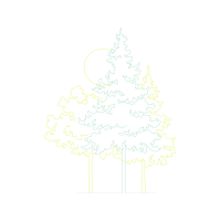 Christmas Tree Christmas Christmas Tree Christmas