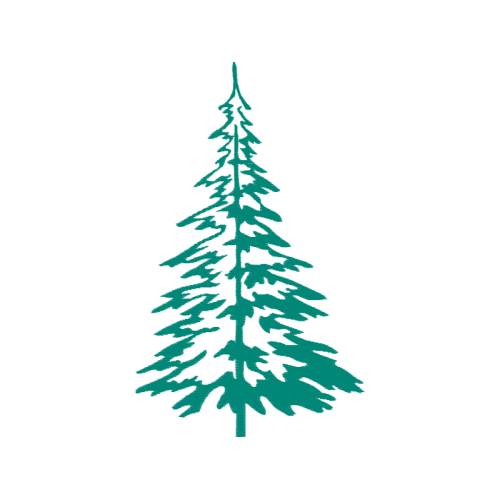 Fir Christmas Fir Christmas