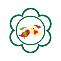 Flower Cream Christmas Flower Cream Christmas