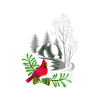 Illustration Christmas