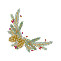 Shortleaf Pine Christmas