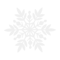 Snowflake Christmas Snowflake Christmas