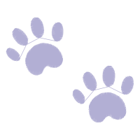 Barbary Fig Easter Barbary Fig Easter