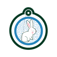 Domestic Rabbit Easter Domestic Rabbit Easter