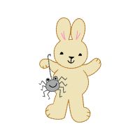 Domestic Rabbit Easter Domestic Rabbit Easter