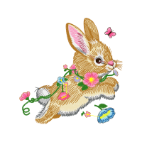 Domestic Rabbit Easter Domestic Rabbit Easter