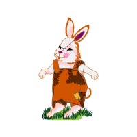 Domestic Rabbit Easter