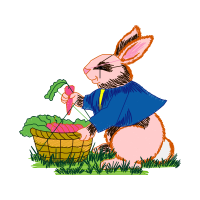 Domestic Rabbit Easter