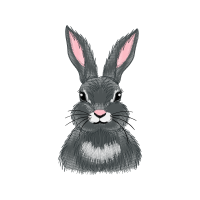 Easter Bunny Easter Easter Bunny Easter