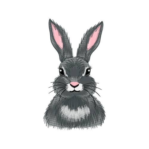 Easter Bunny Easter Easter Bunny Easter