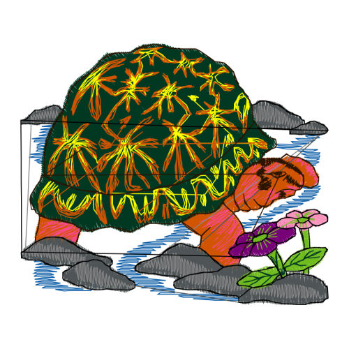 Eastern Box Turtle Easter Eastern Box Turtle Easter