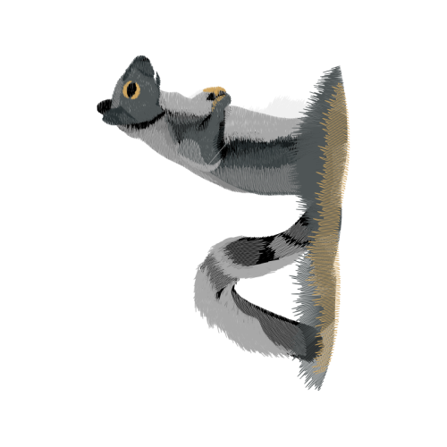 Eastern Diamondback Rattlesnake Easter Eastern Diamondback Rattlesnake Easter