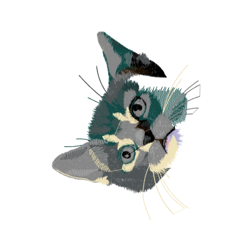 Eastern Screech Owl Easter Eastern Screech Owl Easter