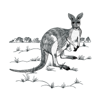 Red Kangaroo Easter