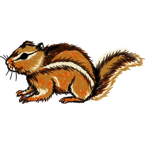 Squirrel Easter Squirrel Easter