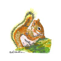 Squirrel Easter Squirrel Easter