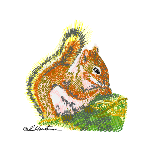 Squirrel Easter Squirrel Easter