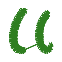 Sock Holidays Sock Holidays