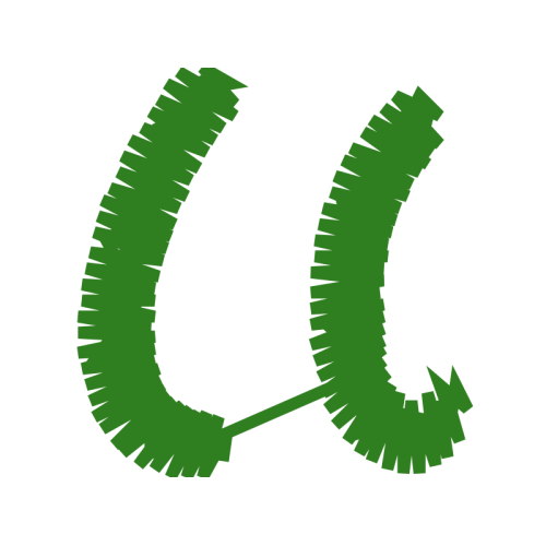 Sock Holidays Sock Holidays