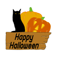 American Wirehair Halloween