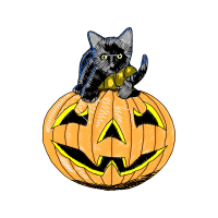 Cat Halloween
