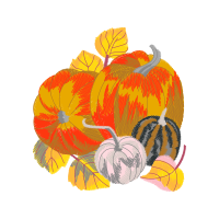 Illustration Halloween Illustration Halloween