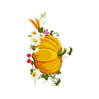 Illustration Halloween Illustration Halloween