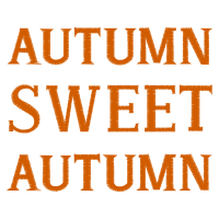 Meter Halloween Meter Halloween