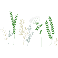 Vr International School Vr Pu Collage Holidays Vr International School Vr Pu Collage Holidays