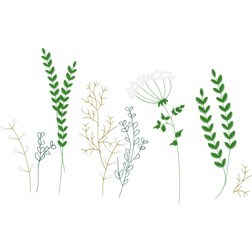 Vr International School Vr Pu Collage Holidays Vr International School Vr Pu Collage Holidays