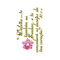 Meter New Year Meter New Year