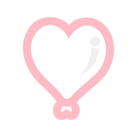 Accipitriformes Valentine