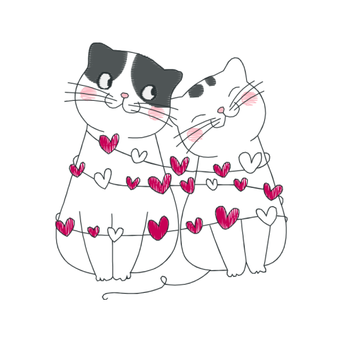 American Shorthair Valentine American Shorthair Valentine