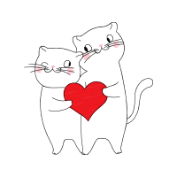 American Shorthair Valentine American Shorthair Valentine