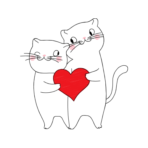 American Shorthair Valentine American Shorthair Valentine