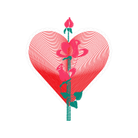 Cut Flowers Valentine