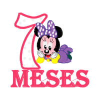 Domestic Rabbit Valentine Domestic Rabbit Valentine